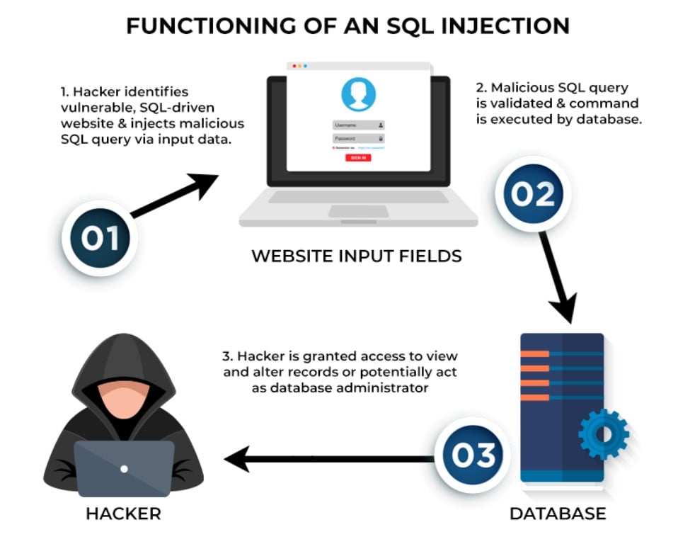 Best Programming Languages for Cybersecurity